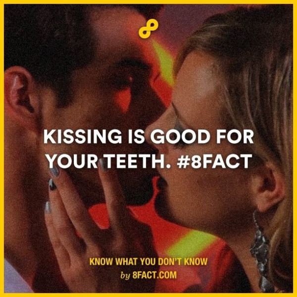 Things You Never Knew About Kissing LifeCrust
